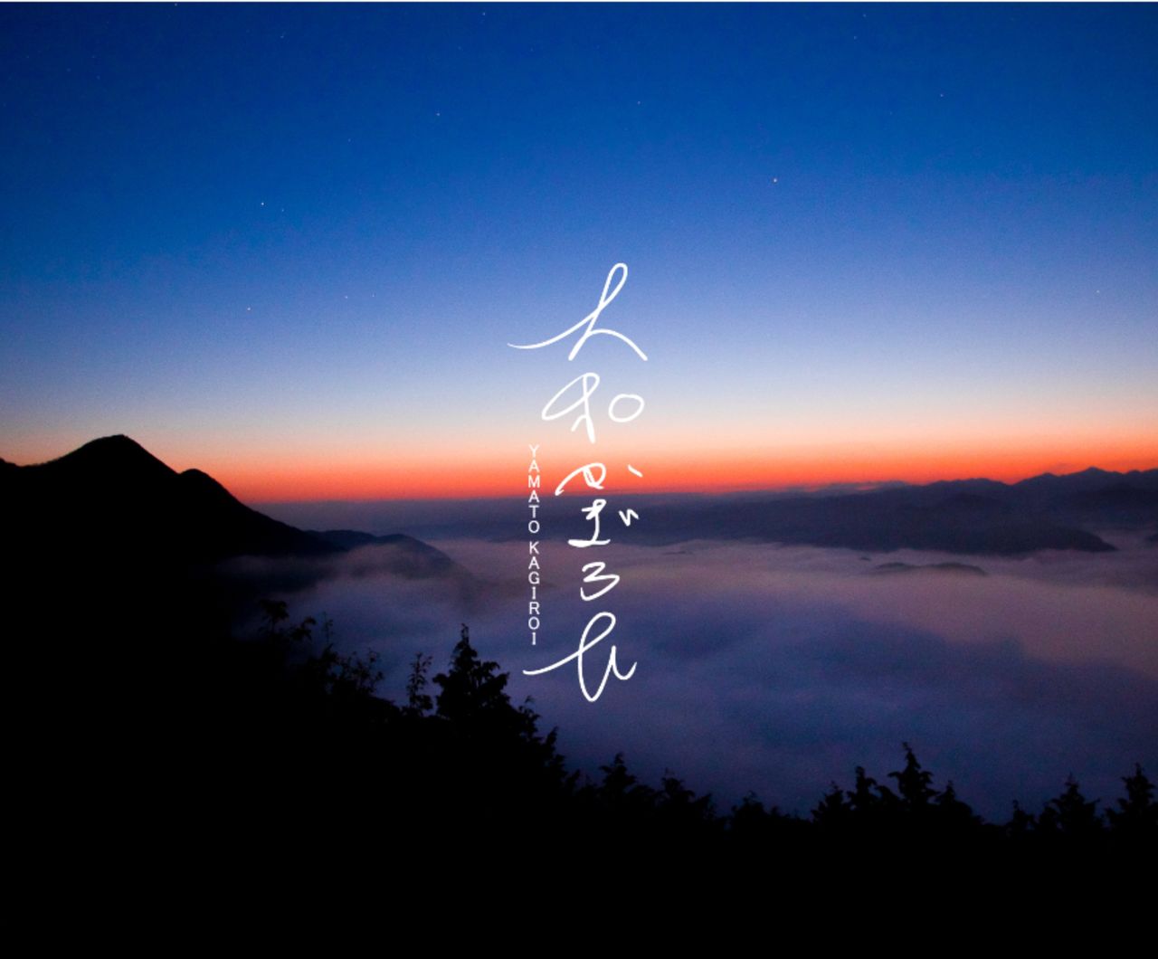 大和かぎろひの画像１