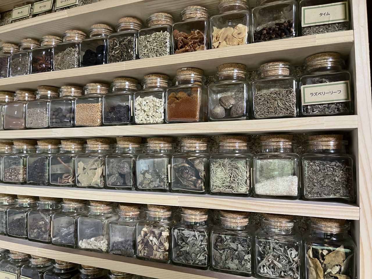 精霊の森の画像１