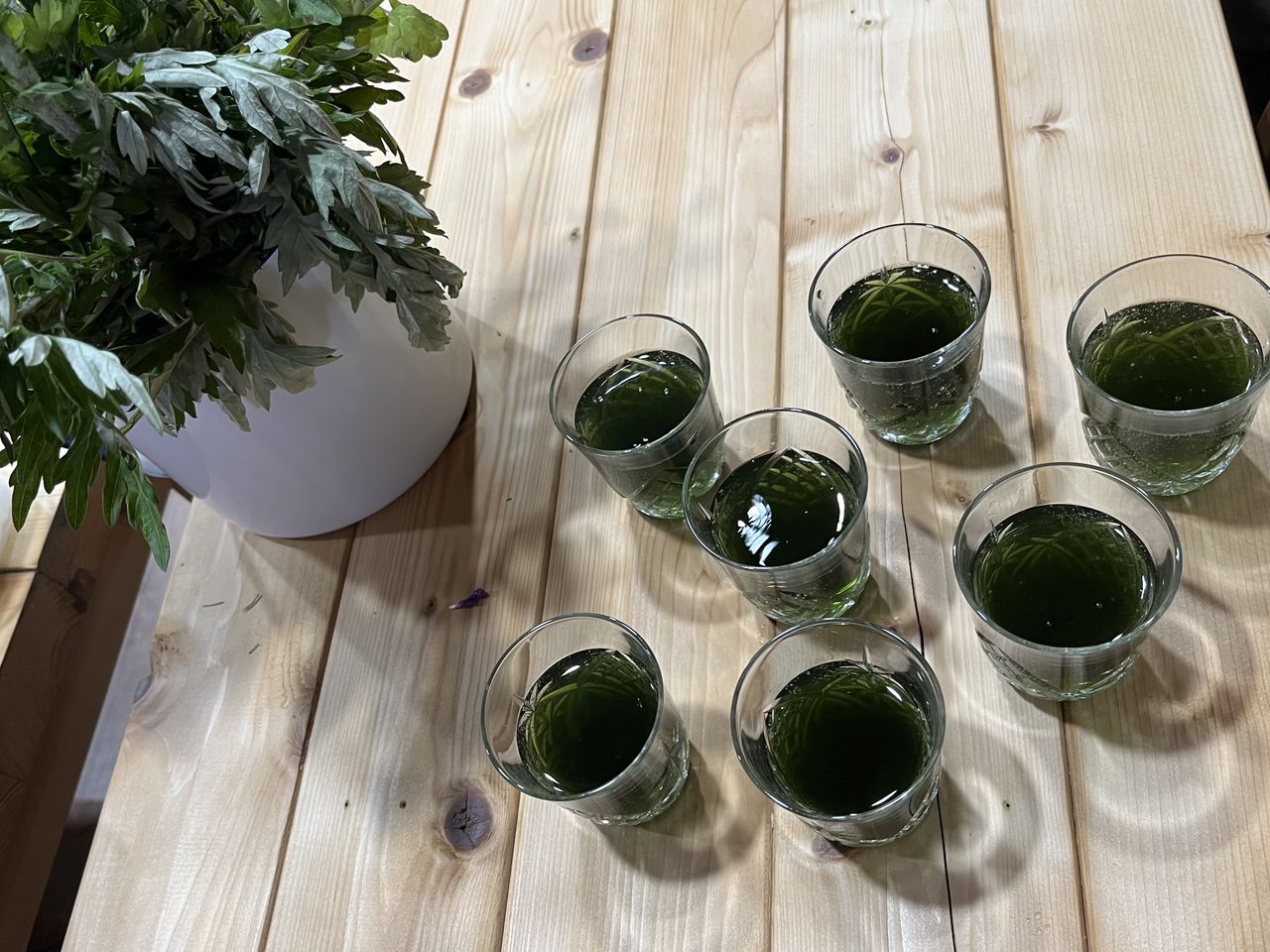 藤井 文子の画像