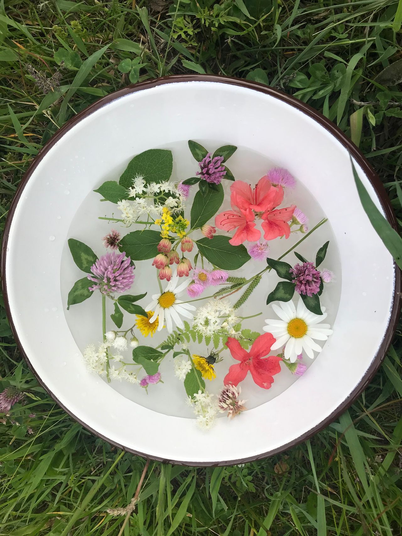 村上 志緒の画像１