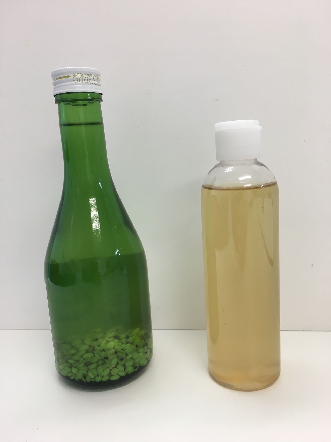 竹川 雅子の画像２