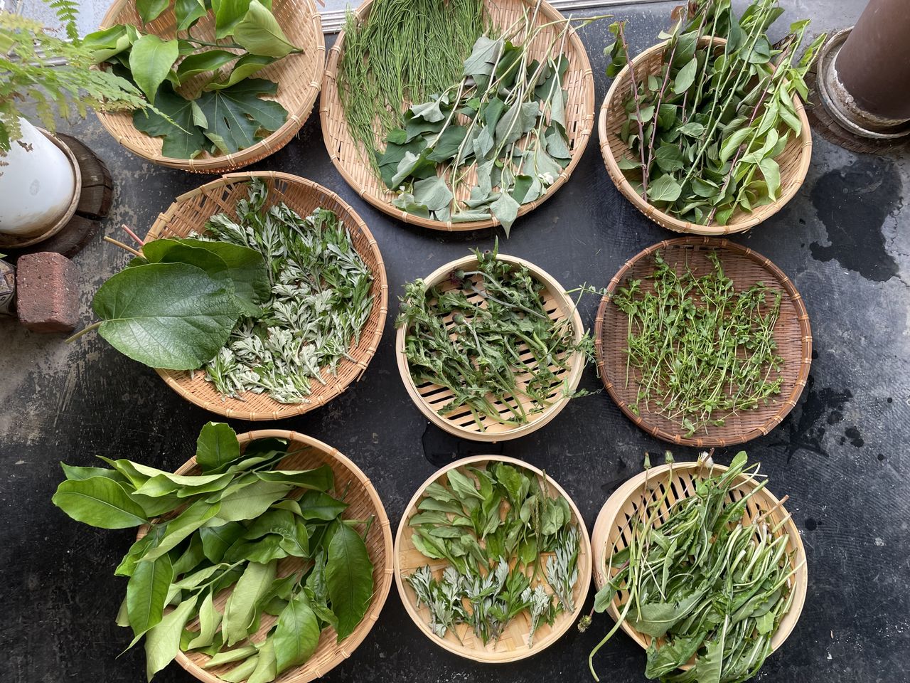 長谷 真由美の画像１