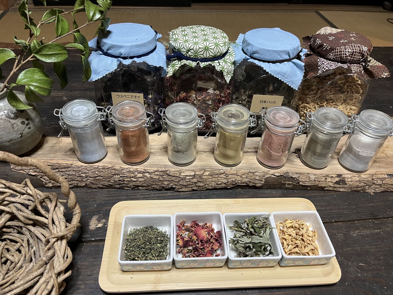 クレメンツ かおりの画像１