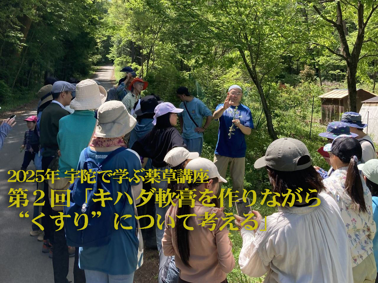 キハダ軟膏を作りながら“くすり”について考えるの画像