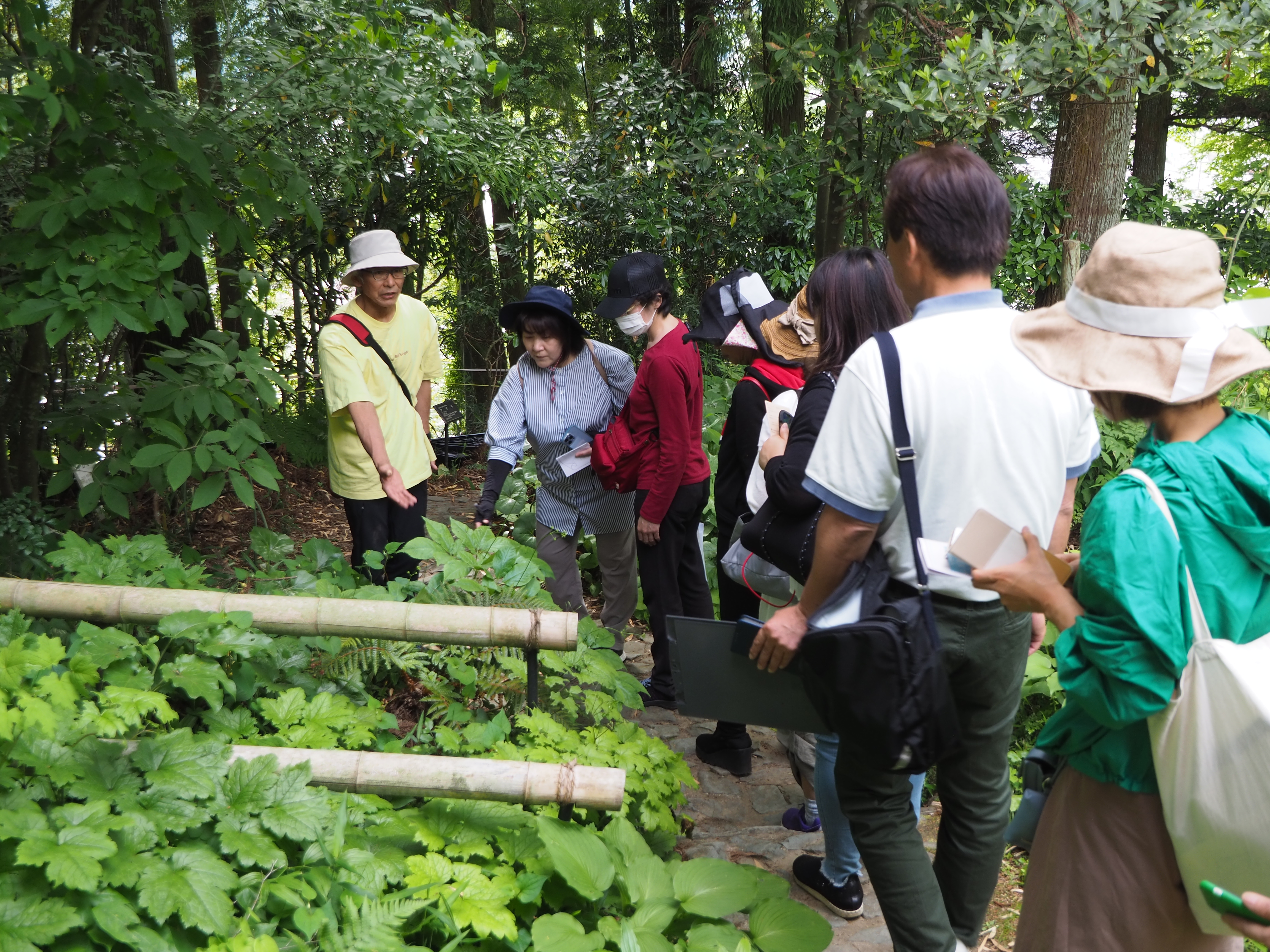 藤本まさやインストラクター