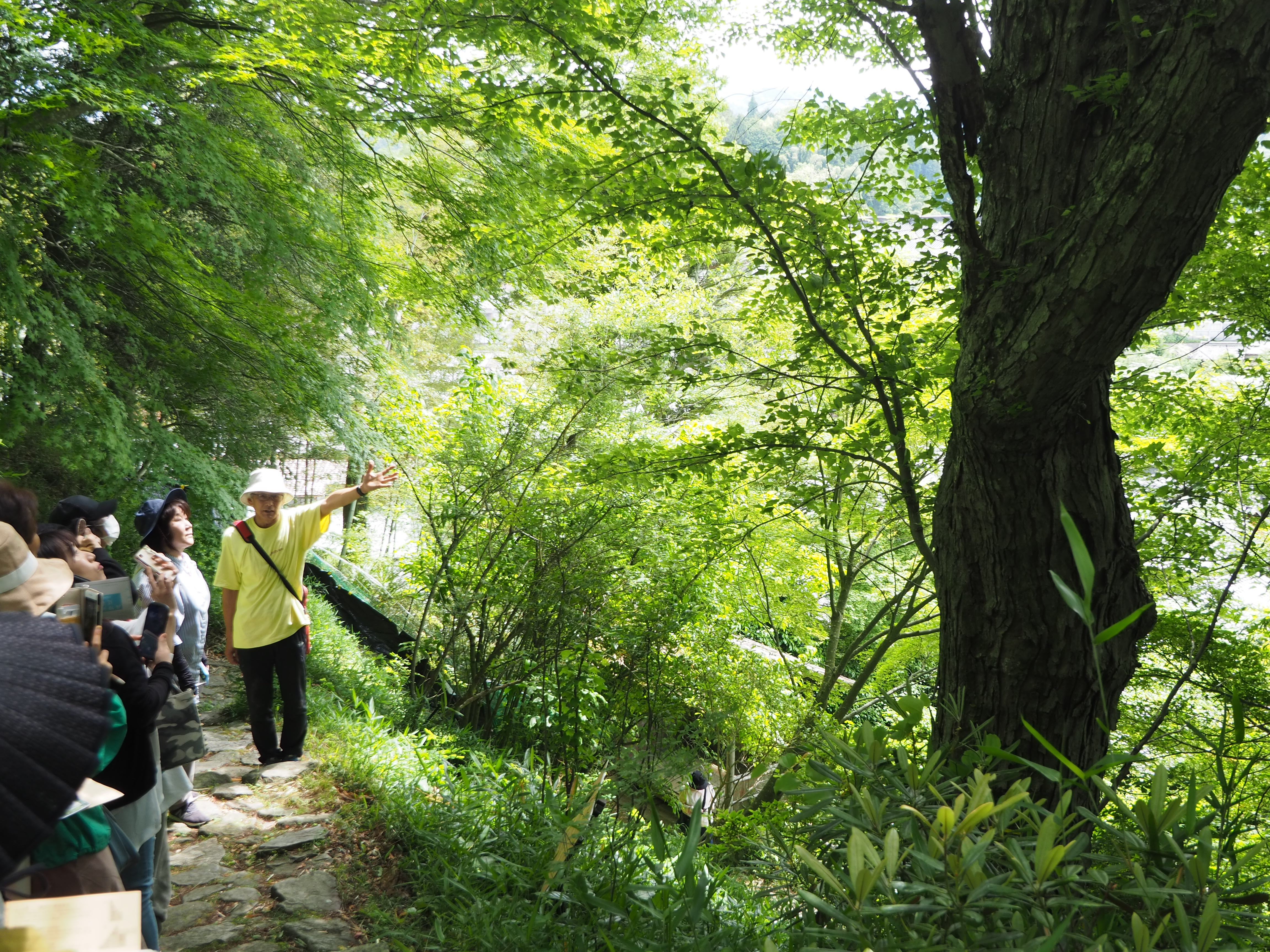 藤本まさやインストラクター