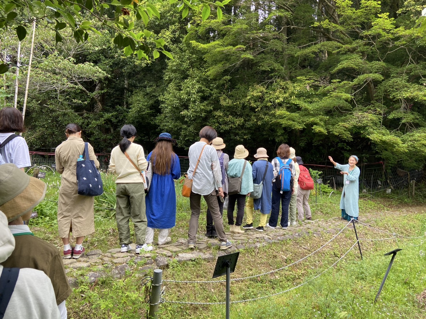 クレメンツかおり先生の薬草観察会